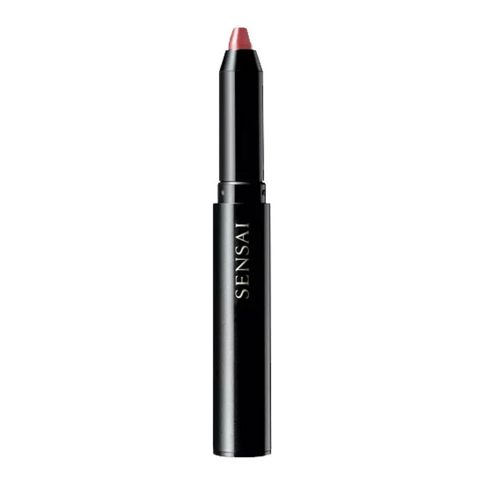 Rouge à lèvres 'Silky Design Rouge' - DR5 Beniukon 1.2 g