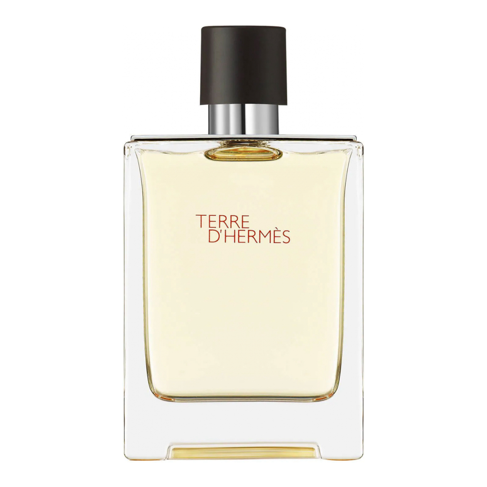 'Terre d'Hermès' Eau de toilette - 100 ml