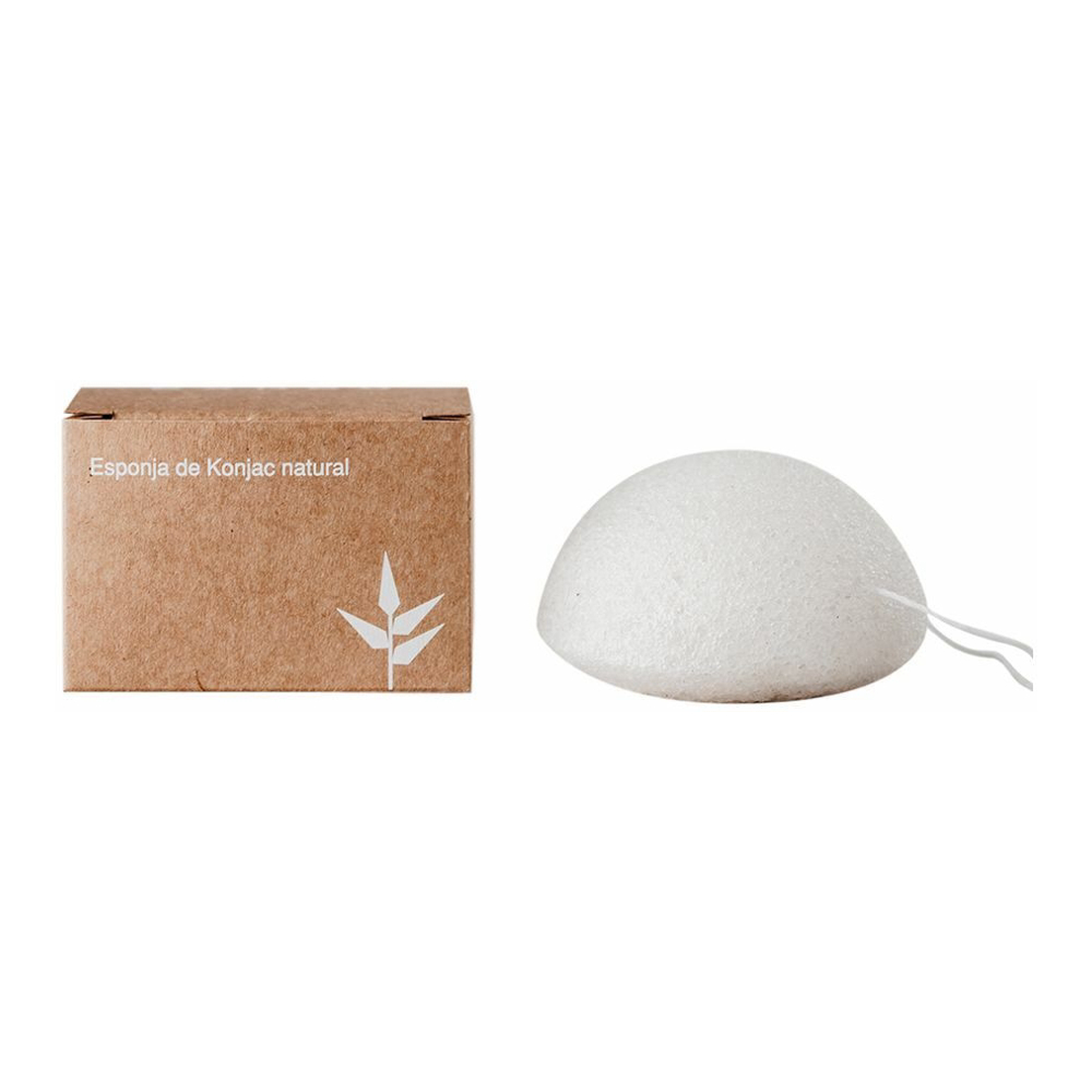 Konjac Sponge