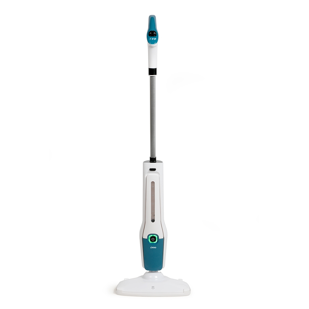 Steam Cleaner