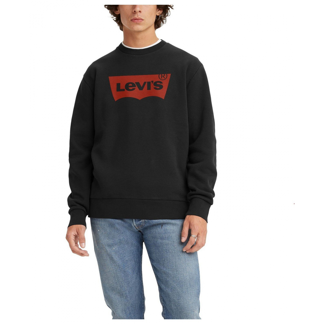 Sweatshirt 'Graphic Crewneck Regular Fit Long Sleeve' pour Hommes