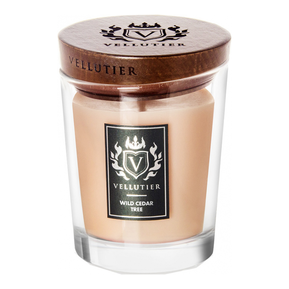 Bougie parfumée 'Wild Cedar Tree Exclusive Medium' - 225 g