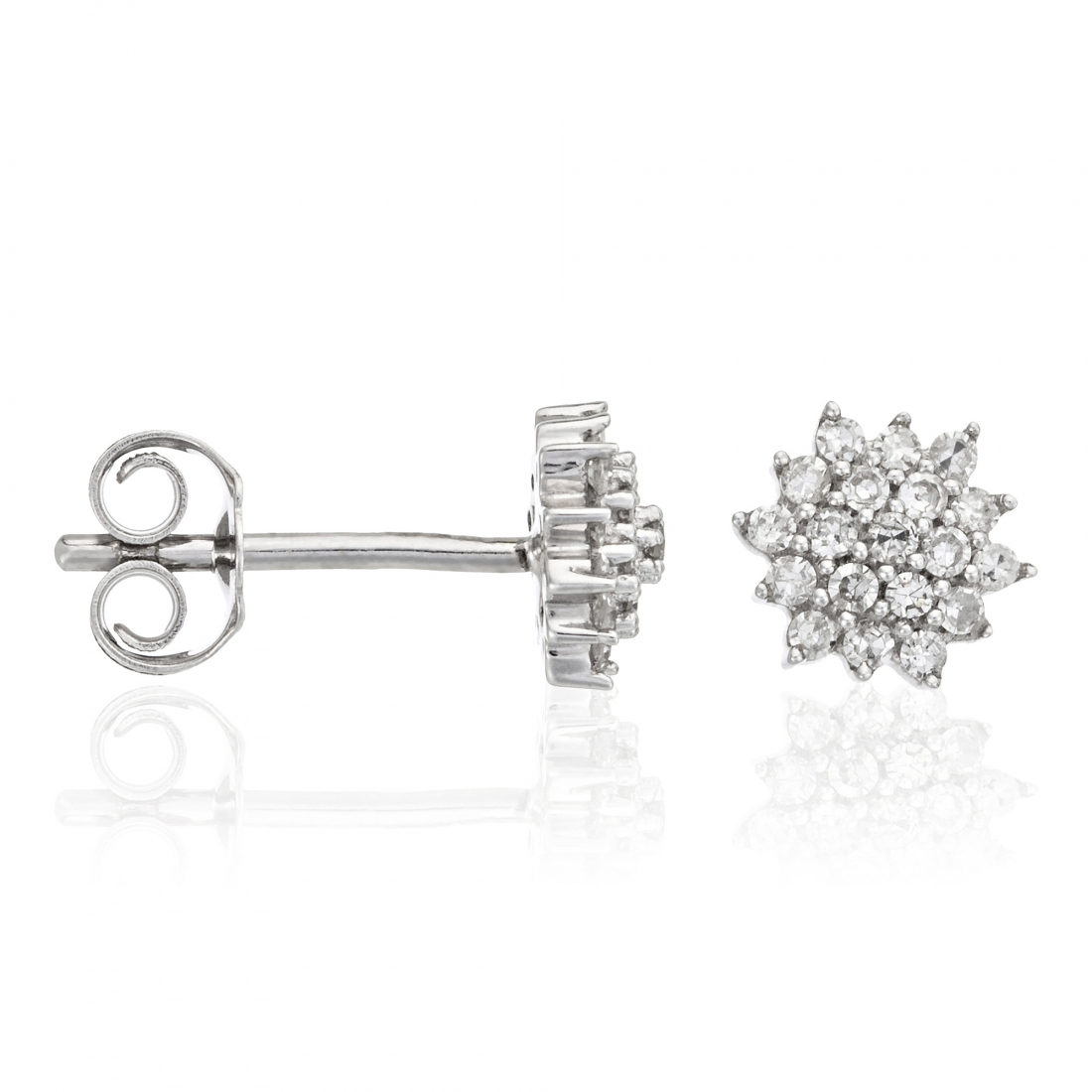 Women's 'Beauté Majestueuse' Earrings