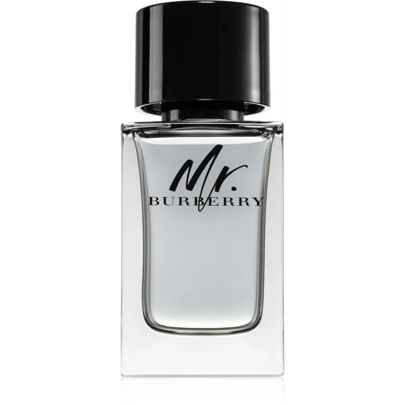 'Mr. Burberry' Eau de toilette - 100 ml