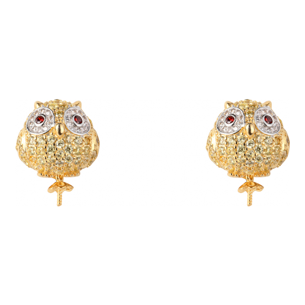 Boucles d'oreilles pour Femmes