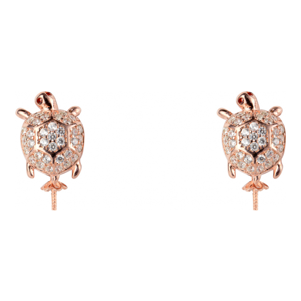 Boucles d'oreilles pour Femmes