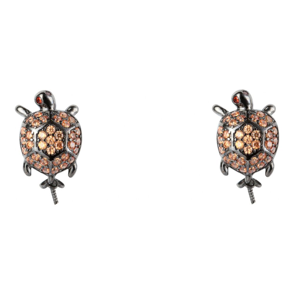 Boucles d'oreilles pour Femmes