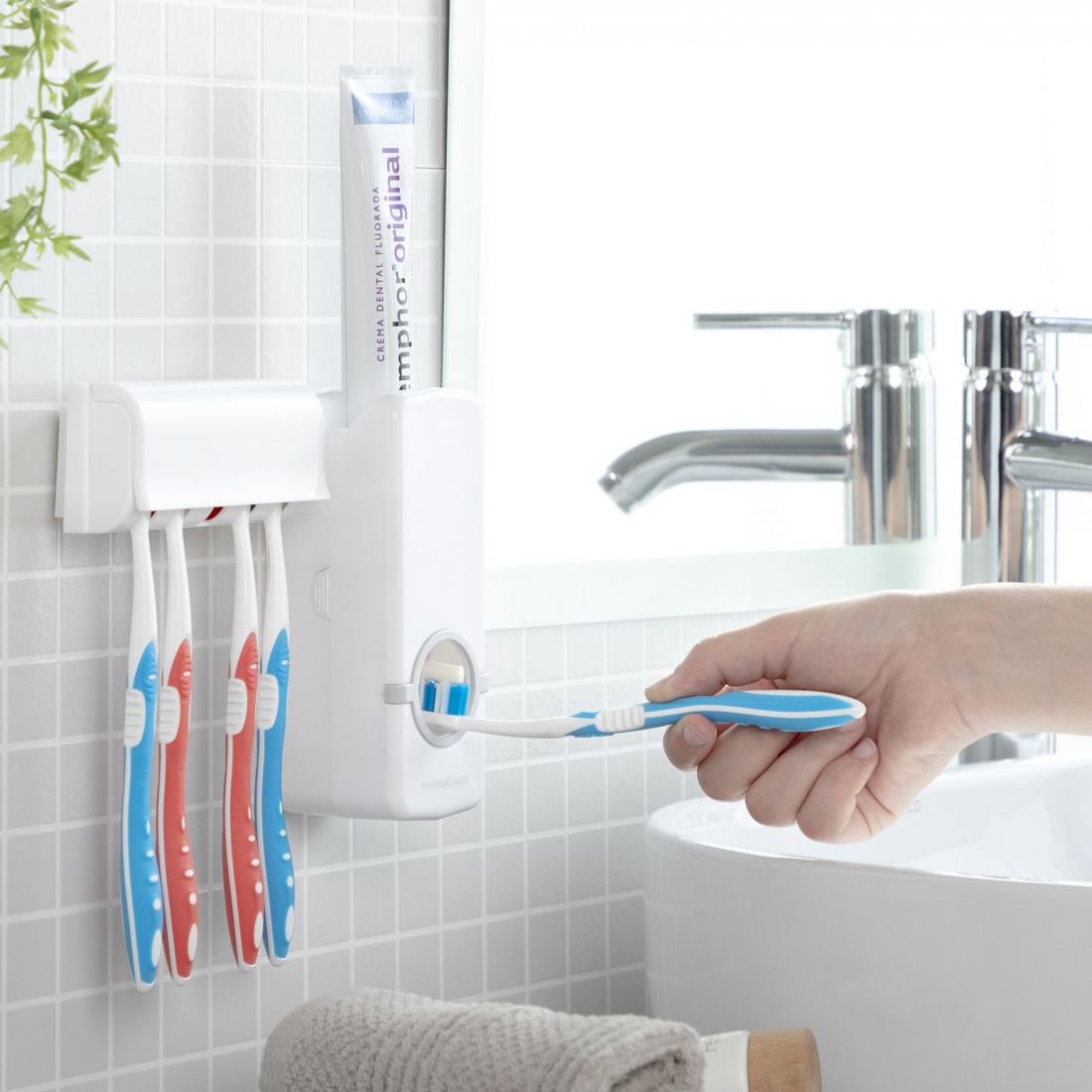 Distributeur De Dentifrice Avec Porte Brosse À Dents Diseeth