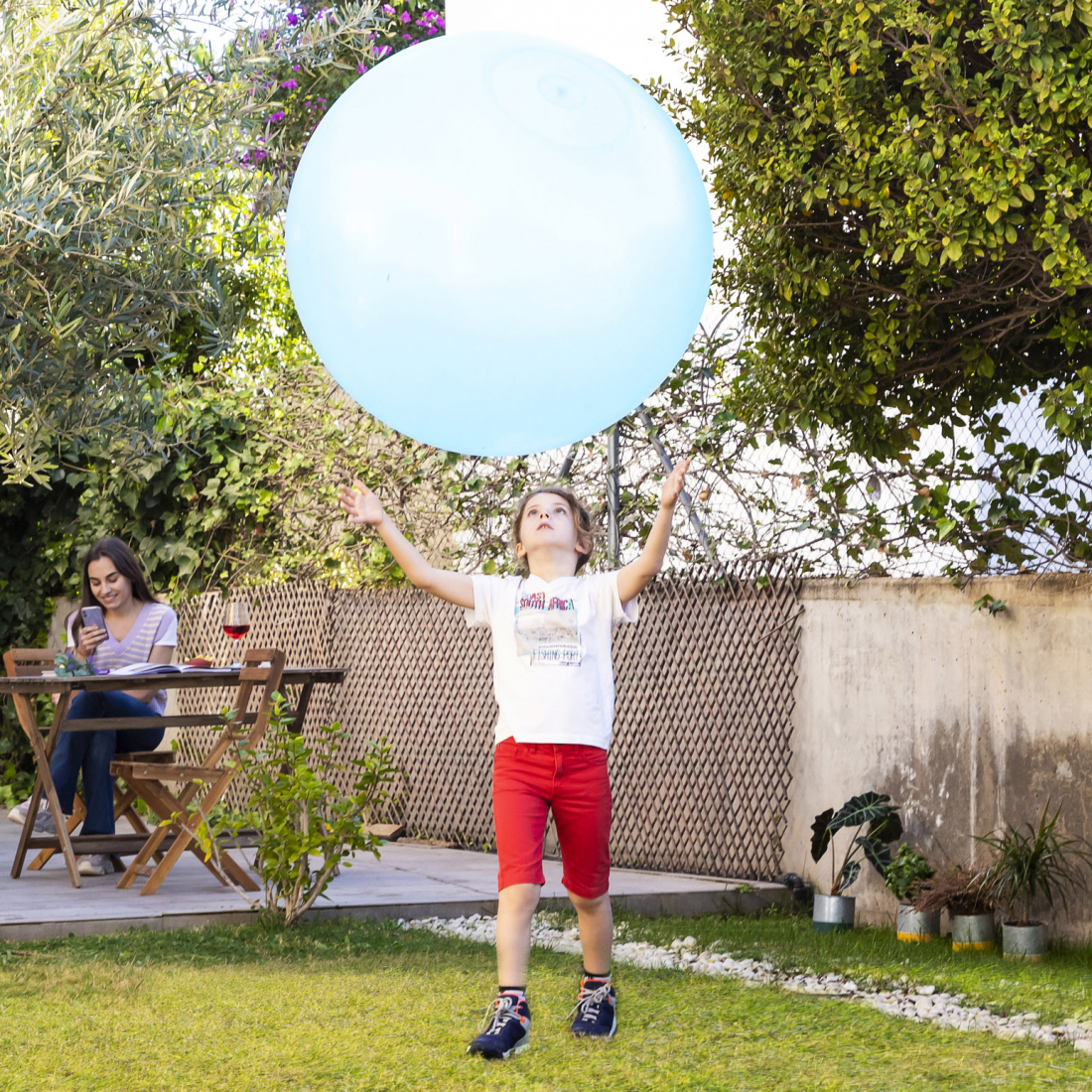 Giant Inflatable Bubble Ball Bagge