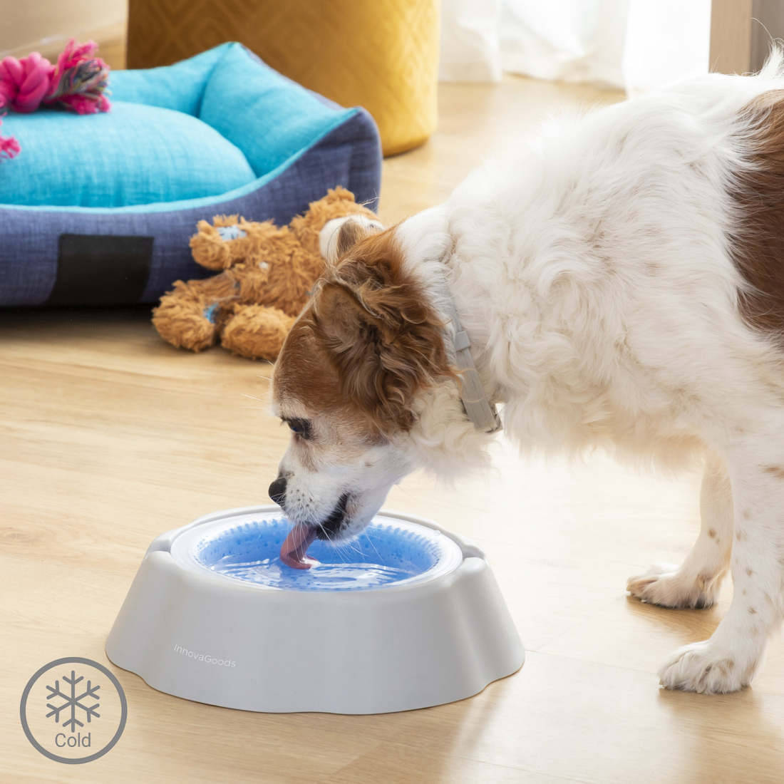 Freshty Cooling Pet Water Bowl