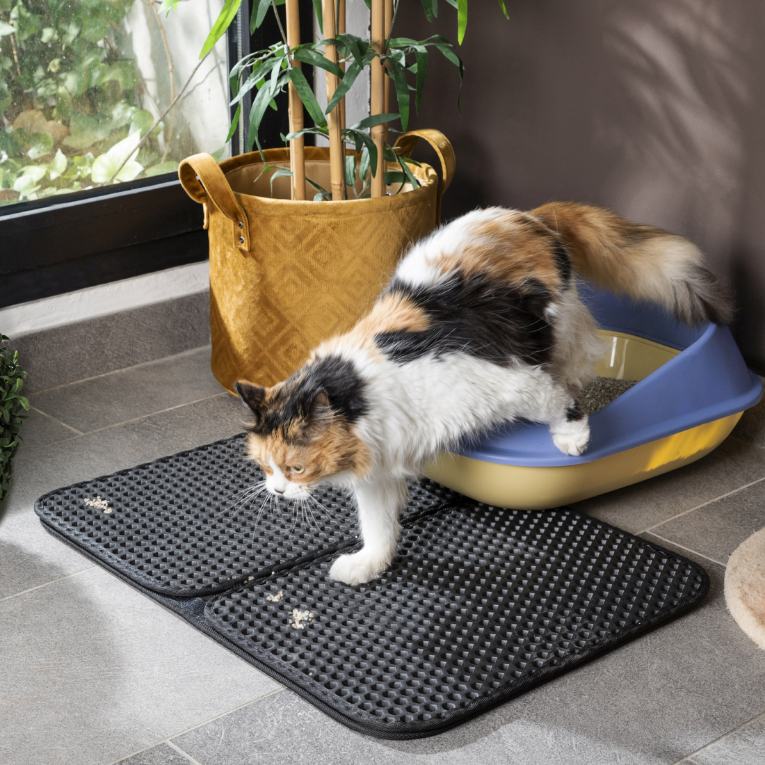 Tapis De Litière Pour Chat Clikatt