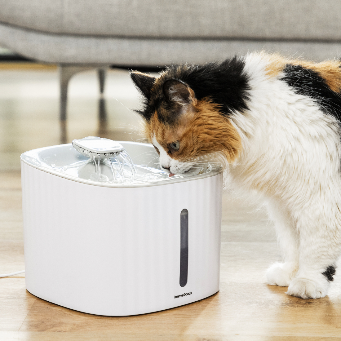 Fontaine pour animaux de compagnie Drinkatt