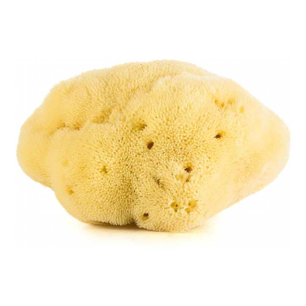 'Natural' Sponge