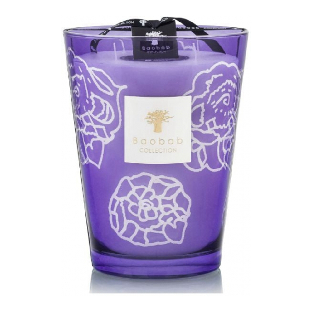 'Collectible Roses Dark Parma Max 24' Candle - 5.2 Kg