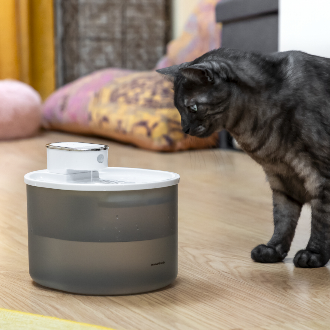 Trinkbrunnen für Katzen mit Akku und Sensor Refopet