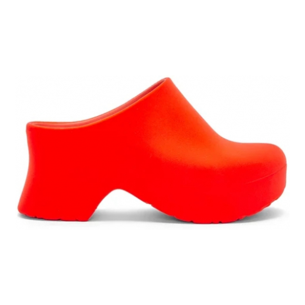 Women's 'Terra' Clogs