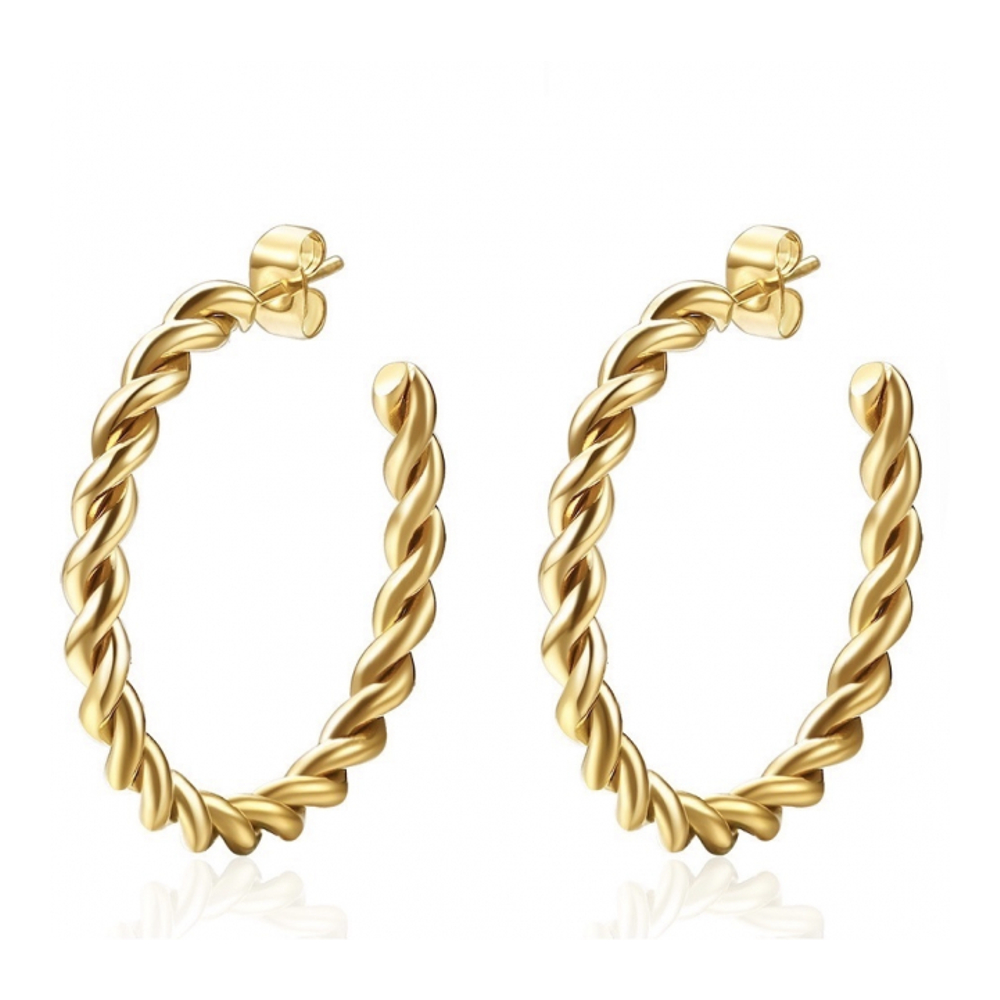 Women's 'Twist Hoop' Earrings