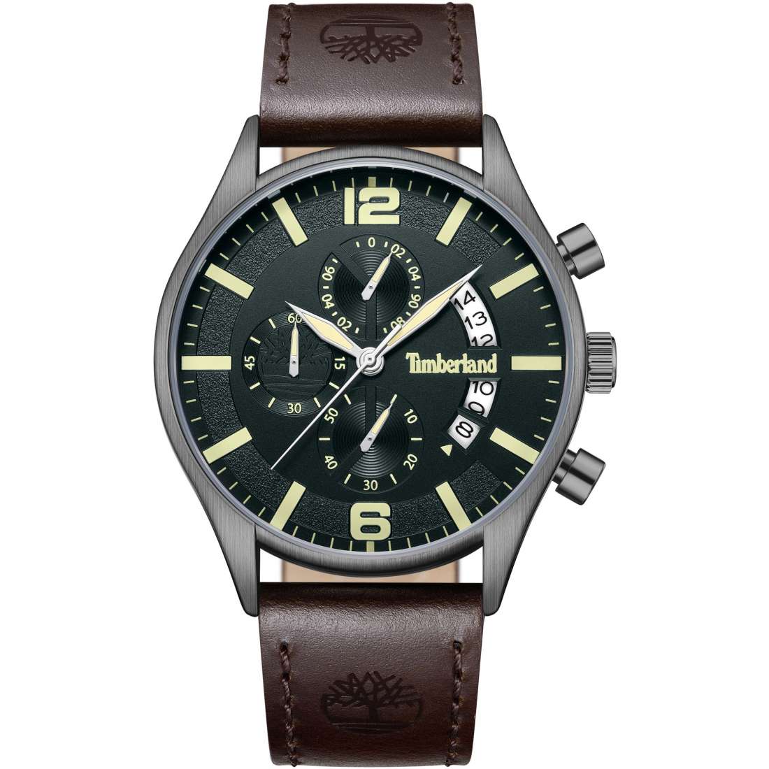 Montre 'TDWGC9001203' pour Hommes