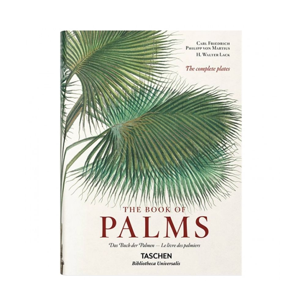 Livre 'The Book of Palms'