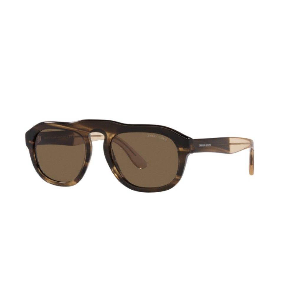 Men's 'AR8173-595873' Sunglasses