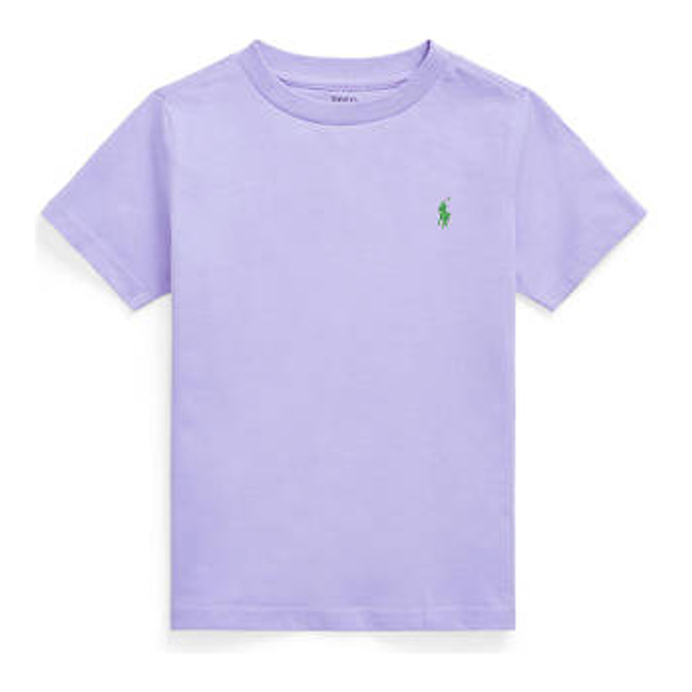 Toddler & Little Boy's 'Cotton Jersey Crew Neck' T-Shirt