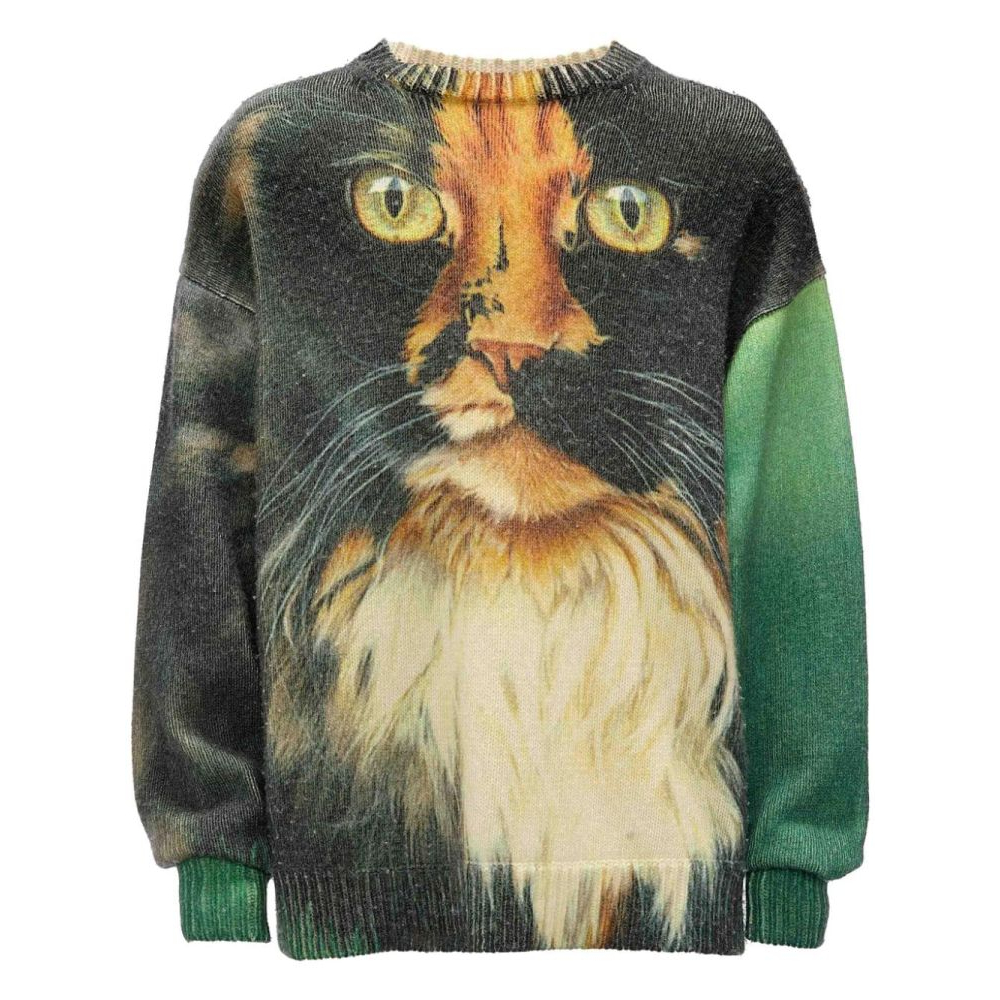 Men's 'Printed' Sweater