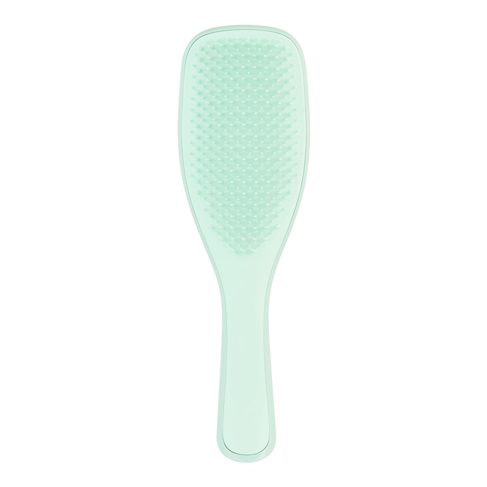 'The Wet Detangler Fine & Fragile' Hair Brush - Mint