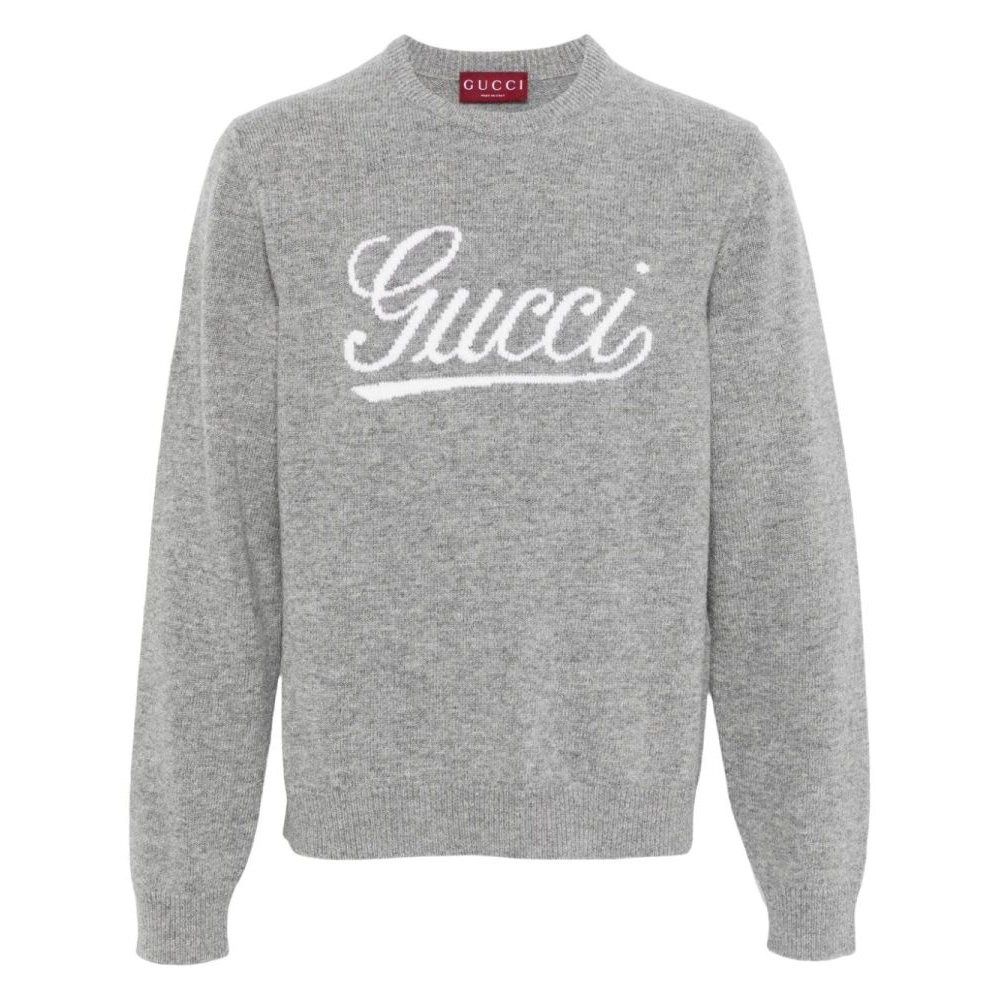 Pull 'Logo' pour Hommes