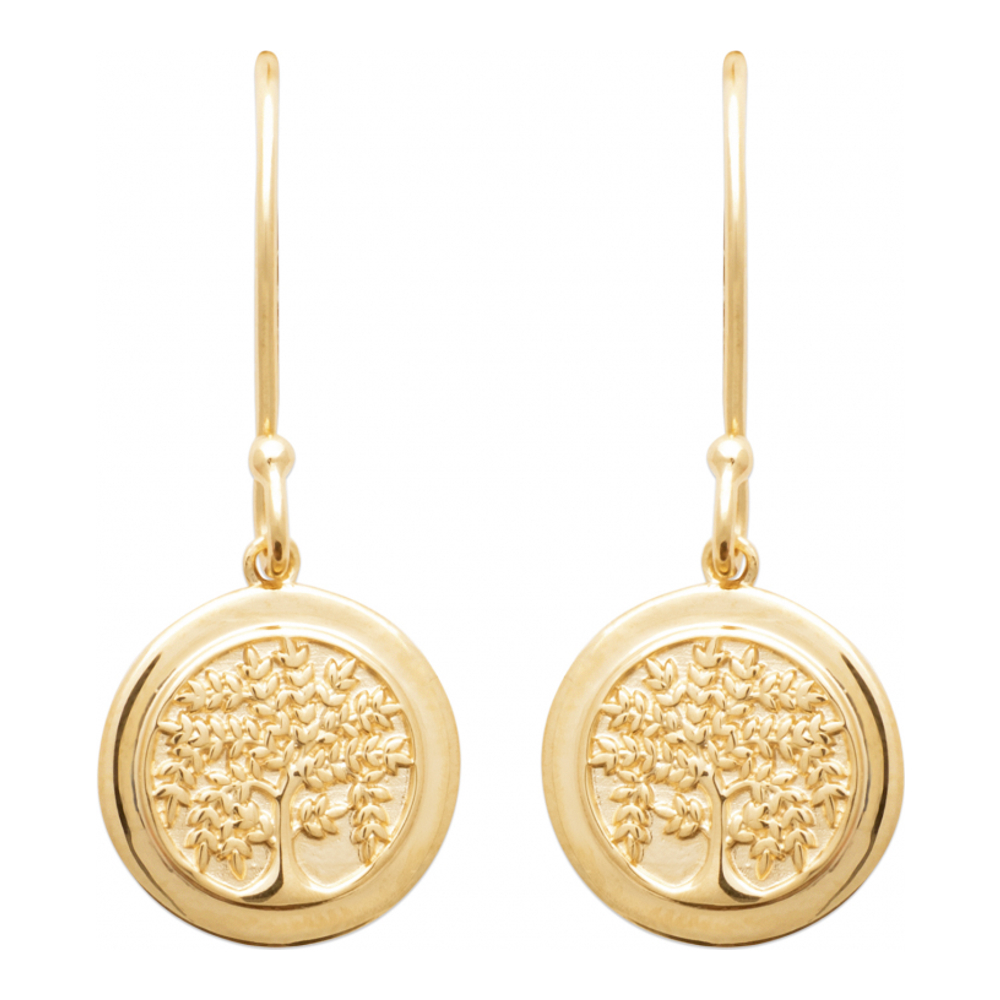 Boucles d'oreilles pour Femmes