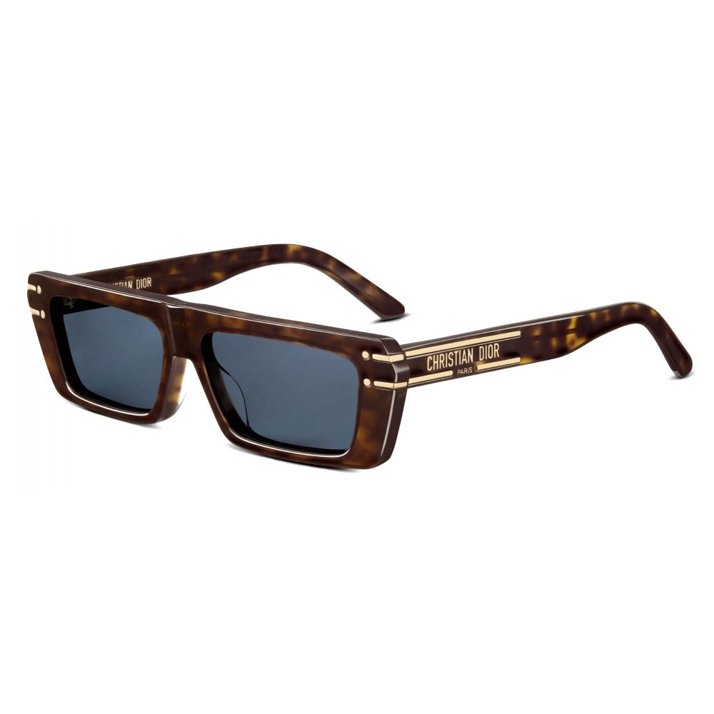 Women's 'DiorSignature S2U' Sunglasses