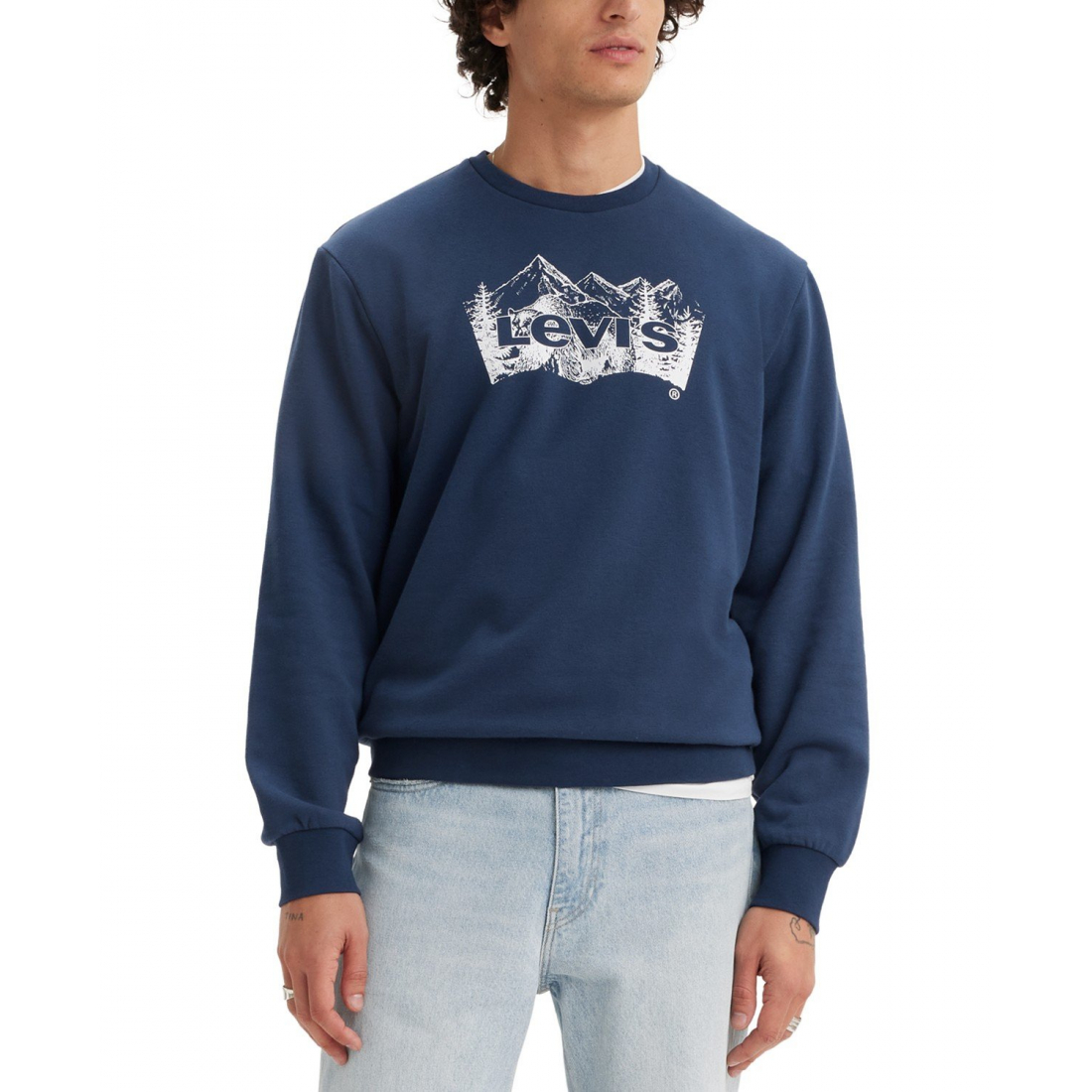 'Mountain Scenic Logo Graphic' Sweatshirt für Herren