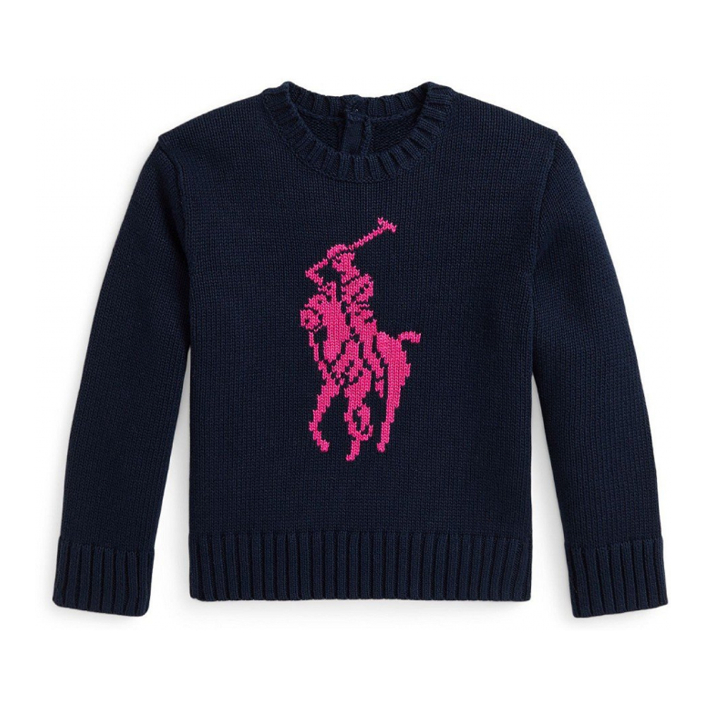 Toddler & Little Girl's 'Big Pony Cotton Sweater'