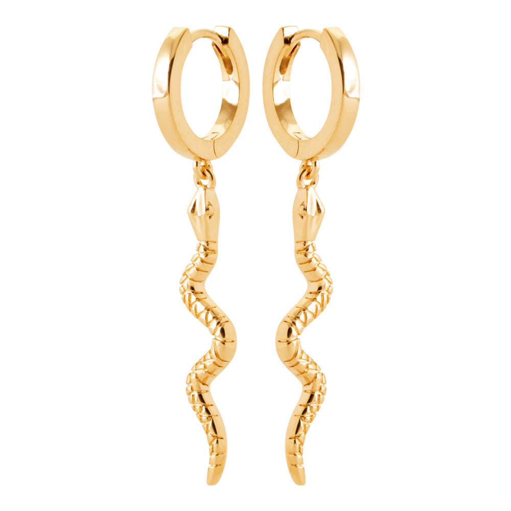 Boucles d'oreilles pour Femmes