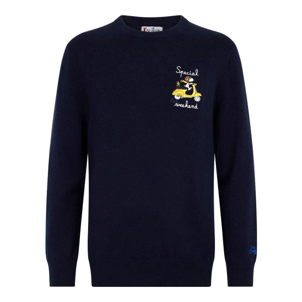 Pull 'Heron With Special Weekend Snoopy Embroidery | Snoopy Peanuts Sp' pour Hommes