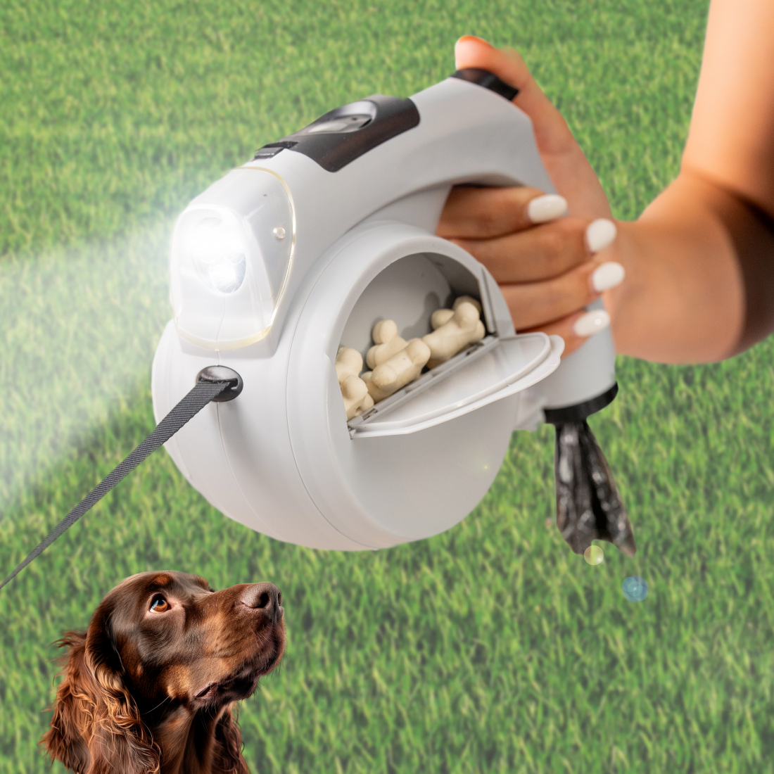 Laisse De Chien Rétractable 6 En 1 Leashic