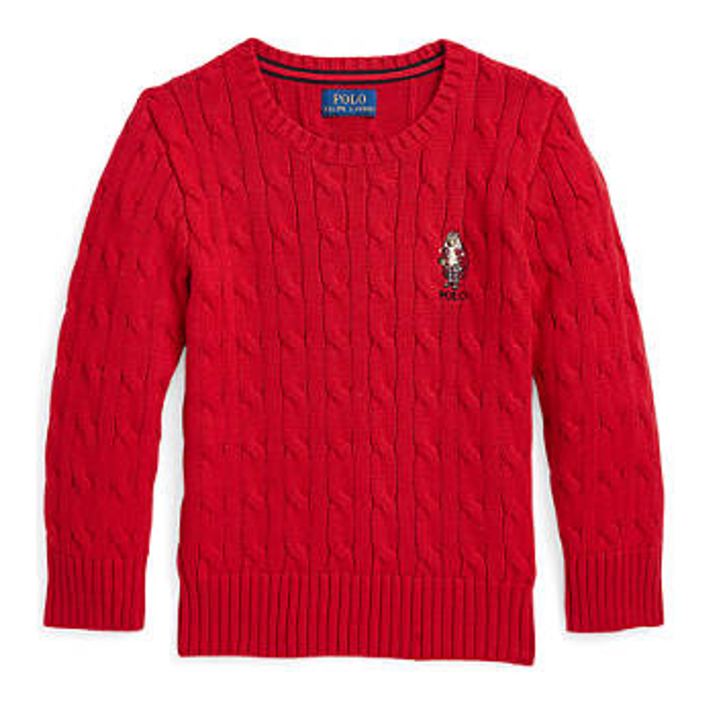 Little Boy's 'Polo Bear Cable Knit Cotton Sweater'