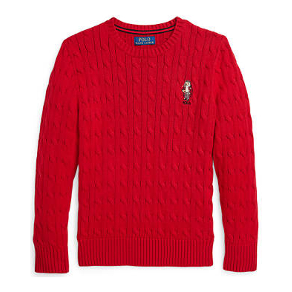 Big Boy's 'Polo Bear Cable Knit Cotton Sweater'