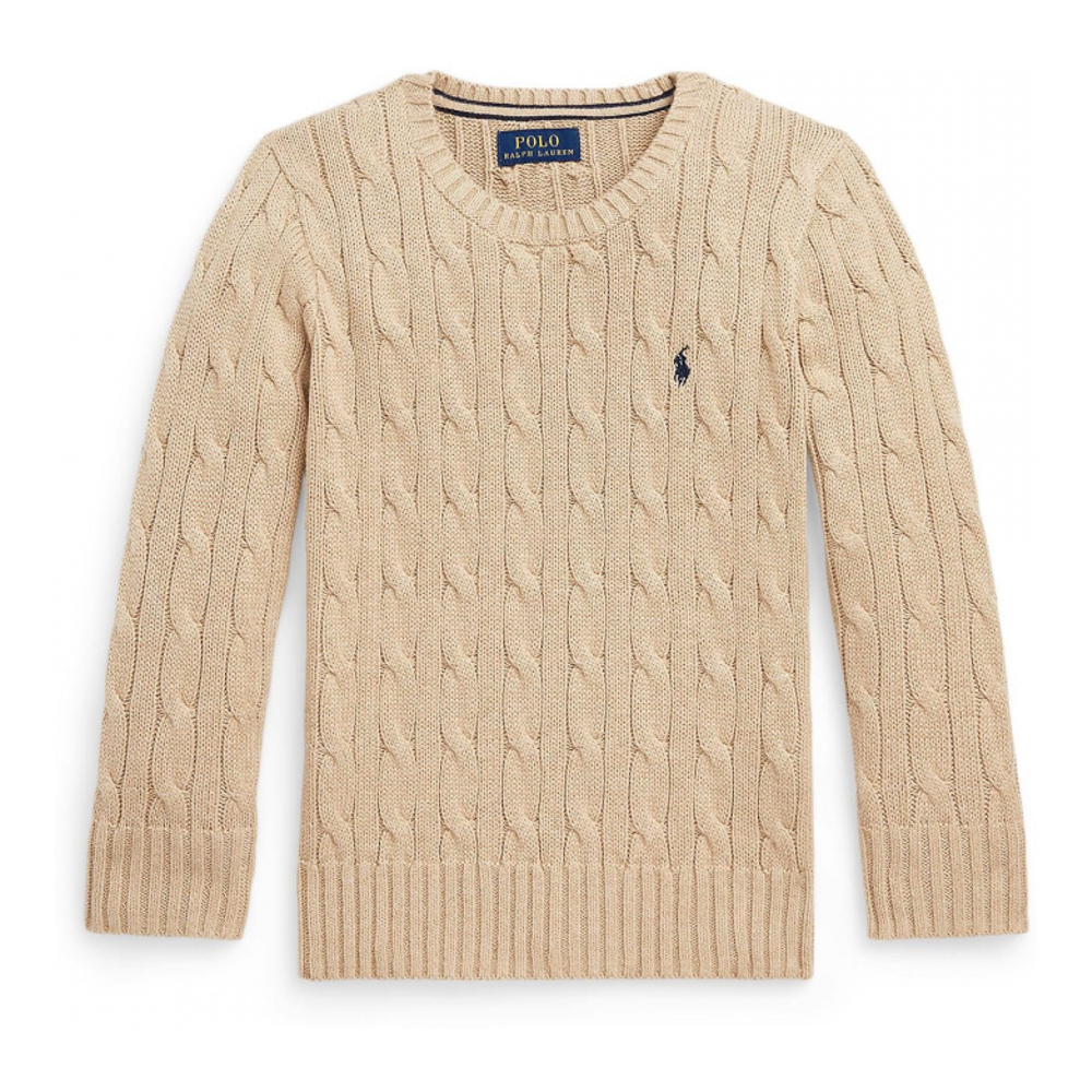 Toddler & Little Boy's 'Polo Bear Cable-Knit Cotton Sweater'